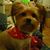 Kathy Fortney's profile image