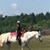 Shelia Holleran's profile image