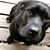 Kimbo Powell's profile image