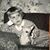Susan Winkelman's profile image