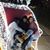 Cynthia Ragan's profile image