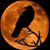 Renee Brunelle's profile image
