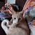 Janice Wolfe's profile image