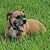 Tanya Lane Seely's profile image