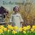 Donna Glover's profile image