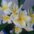 Jeanette Nelson's profile image