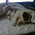 Karen Laird-Olson's profile image