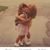 Beth Muscato Potthoff's profile image