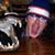 Teresa M Wheeler's profile image