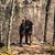 Ryan N Megan Childers's profile image