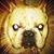 Al Cancino's profile image
