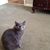 Elizabeth Sullivan's profile image