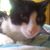 Helder Martins's profile image
