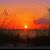 Donna Cunningham's profile image