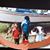 Roberta Ward's profile image