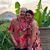 Leslie Chapell Arthur's profile image