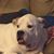Allen Stephens's profile image