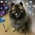Amy Frechette's profile image