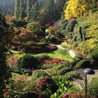 Gail Rowden's profile image