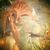 Stassa Kadus's profile image