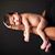 Christian Corzo's profile image