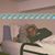 Lucas Alexander MacKenzie's profile image