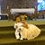Sindy Lizbeth Ortiz's profile image