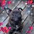 Barb Bernier's profile image