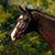 Michelle Morosky Patience's profile image