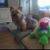 Missy Maciun Liebner's profile image