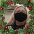 Debra Druckemiller's profile image