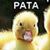 Carla Patita Diaz's profile image
