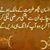 Abida Siddique's profile image