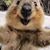 Barbara Pratt's profile image