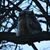 Melanie Tromp van Holst's profile image