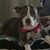 Yvette Gonzales's profile image