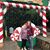 Christie Lovorn Stokes's profile image