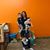 Jacquelyn Veronica's profile image