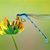Janet Doey's profile image