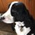 Lenore Huber Harbina's profile image