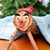 Sam Farnsworth's profile image