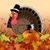 Debbie Kennedy Grigoletti's profile image