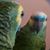 Julia Randolph's profile image