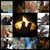 Rena Martin Davis's profile image