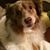 Heather Oiland's profile image
