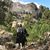 Sherri Torrison's profile image