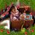 Shellie Marshall Zeiger's profile image