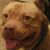 Jeff Mavis's profile image