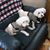 Marsha Deane Kessler's profile image