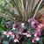 Ann Atkinson's profile image